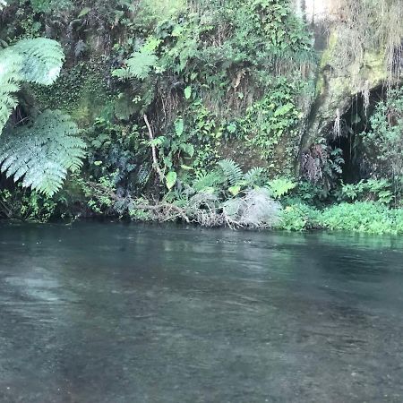 A1 Troutfishing At Tirau Villa Ngoại thất bức ảnh