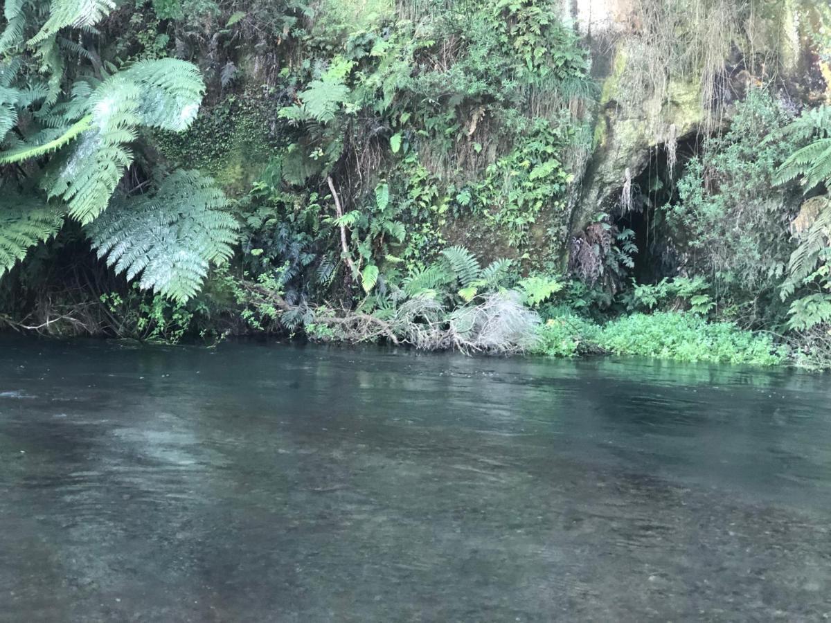 A1 Troutfishing At Tirau Villa Ngoại thất bức ảnh